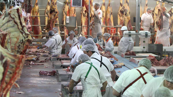 Greenhams' Smithton abattoir. The meat processing company is looking to sell grass-fed beef into the US. Picture: Grant Wells. Greenhams' Smithton abattoir. The meat processing company is looking to sell grass-fed beef into the US. Picture: Grant Wells.