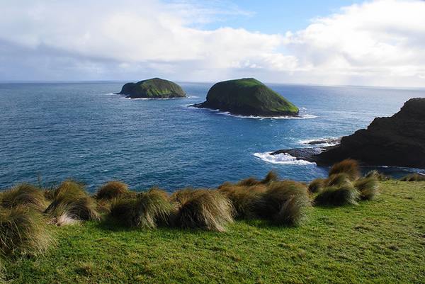 Cape Grim, NW Tasmania Cape Grim, NW Tasmania