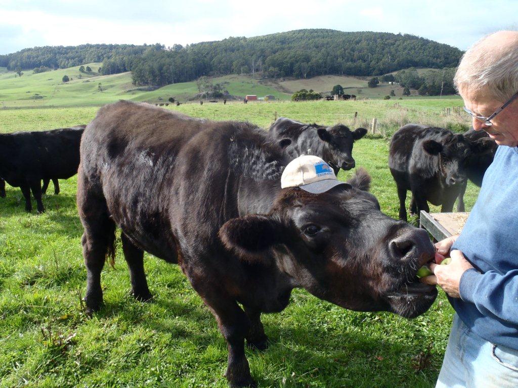 Farmer Feeding Farmer Feeding